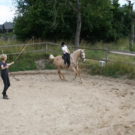 Pferd - Spass - Entspannung *