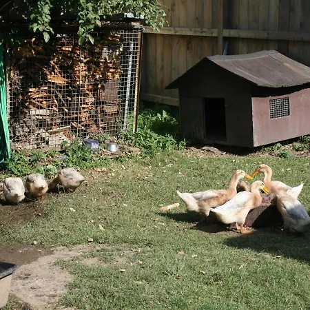 Pferd - Spass - Entspannung *