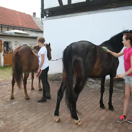 Pferd - Spass - Entspannung * Staitz