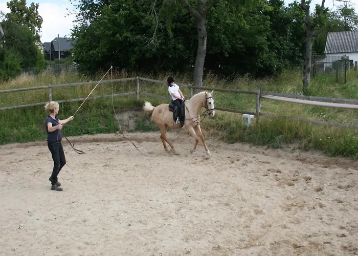 Pferd - Spaß - Entspannung *