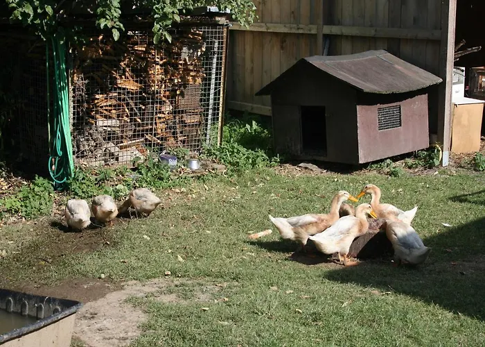 Pferd - Spaß - Entspannung *